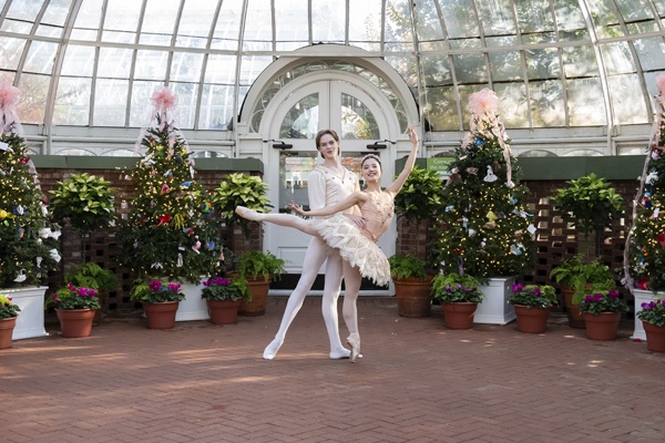 Poinsettias and Pointe Shoes 25