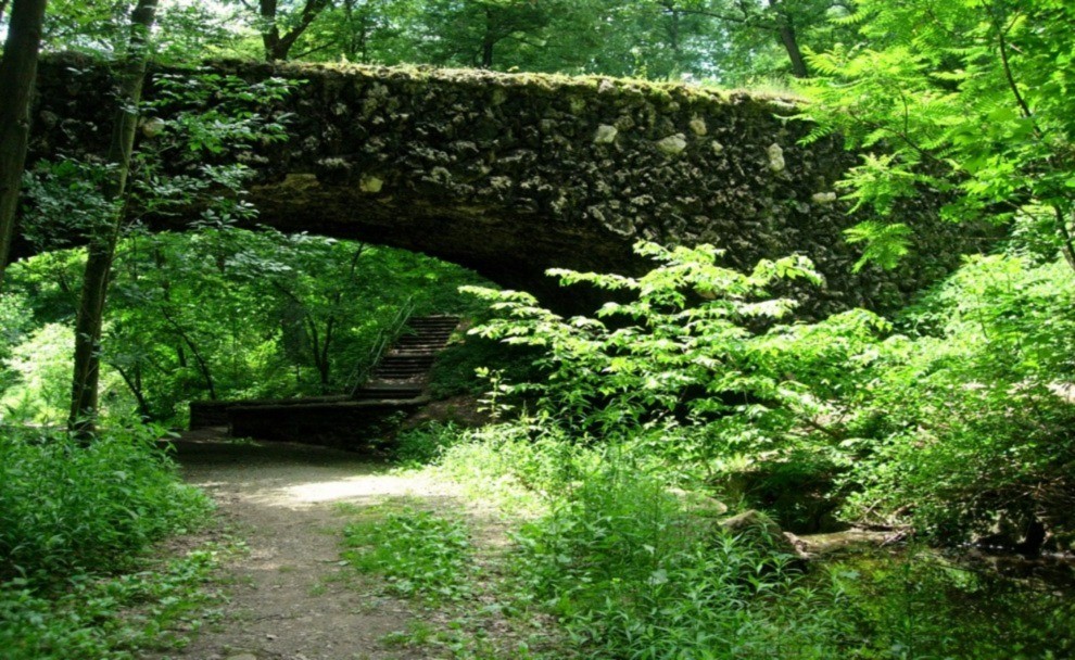 Overgrown Bridge in Schenley Park