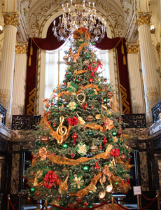 Heinz Hall Christmas Tree and Hanukkah Viewing
