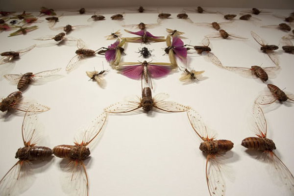 All Around Us: Installations and Experiences Inspired by Bugs