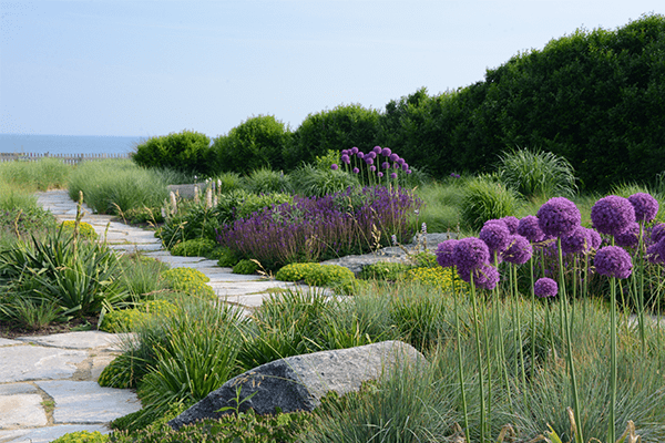 The New American Garden:  The Landscape Architecture of Oehme, van Sweden