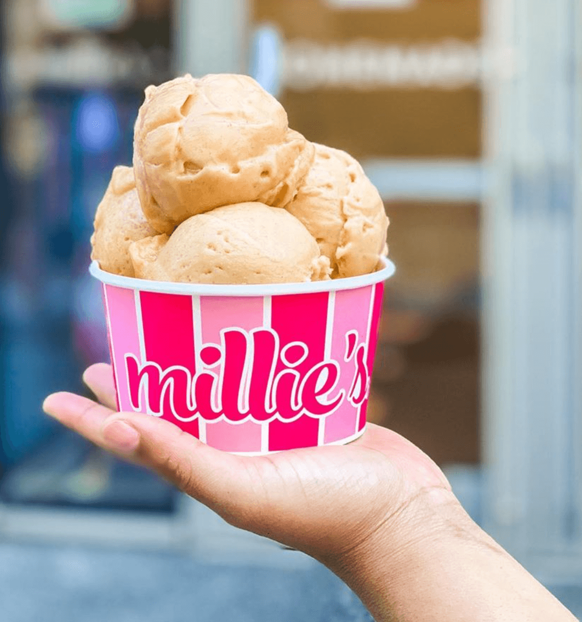 a cup of Millie's ice cream
