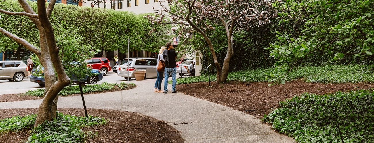 a couple walking through magnolia park in the cultural district