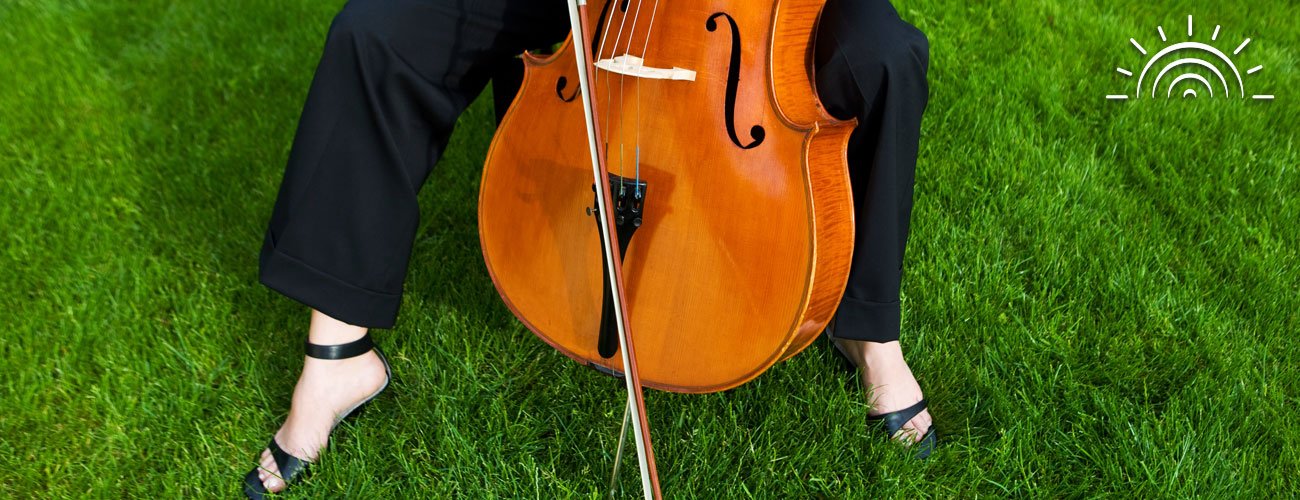Cello in grass