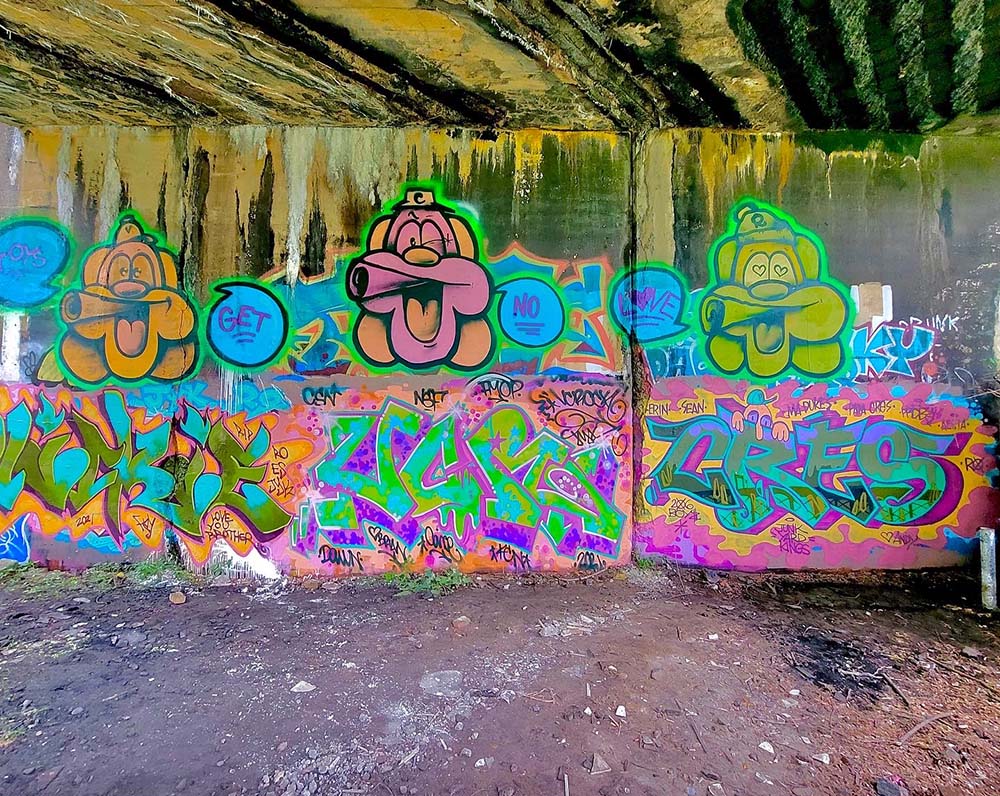 a a wall underneath a bridge painted with colorful graffiti