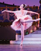 The Nutcracker