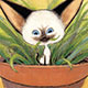 Skippyjon Jones