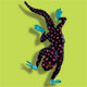 Skink