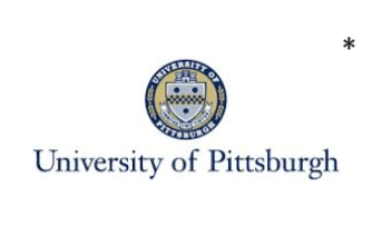 pittsburgh penguins foundation logo