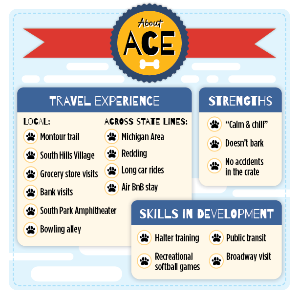 25_pct-service_dog_blog-graphic_rev02