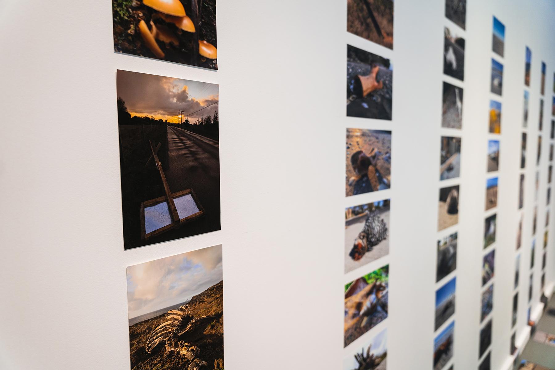 a gallery wall covered with rows and rows of printed photos.