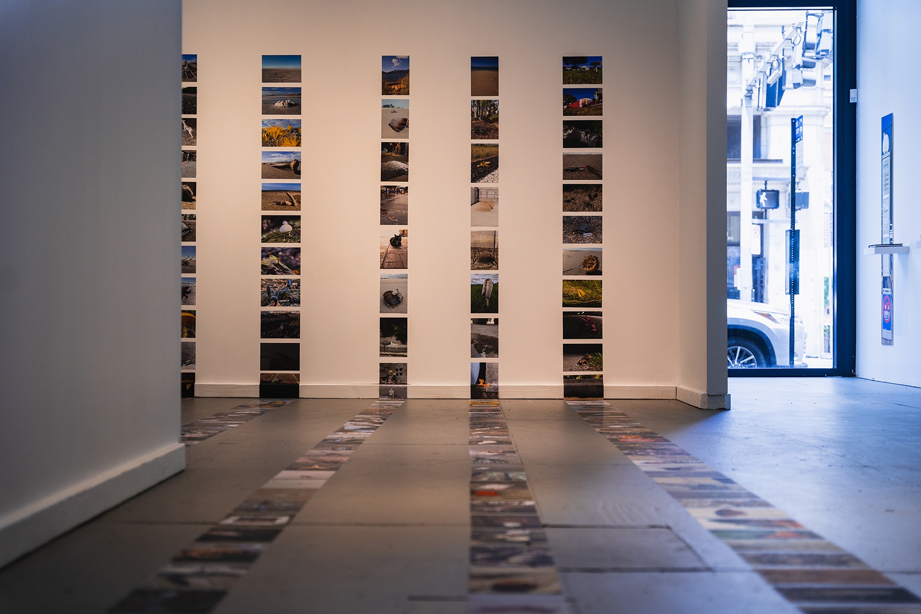 long rows of printed photos in rows along a gallery floor. the photos stretch to a far gallery wall, which they then run up onto.