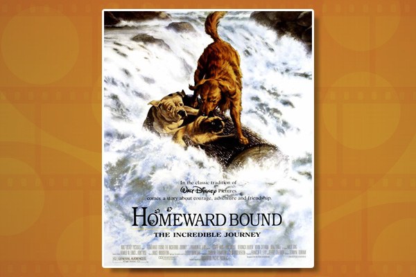 Family Matinees at the Harris: Homeward Bound: The Incredible Journey (1993)